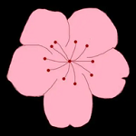 WWW,se426·COM网站APP最新版